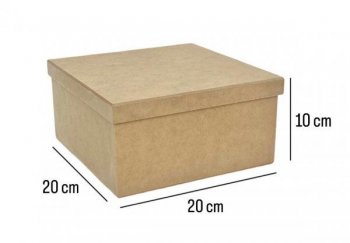 CX 20X20X10 T.S
